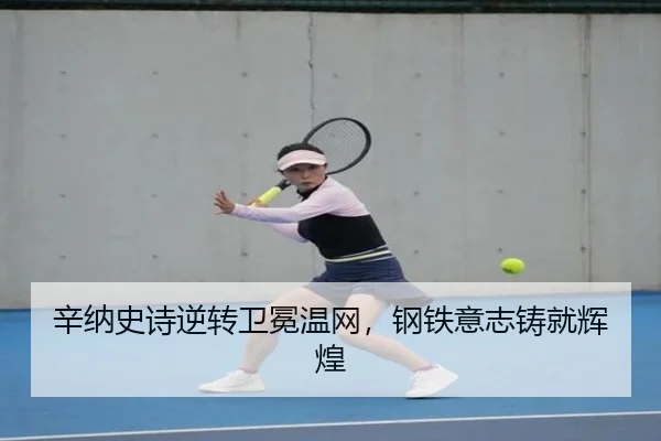 xin-na-shi-shi-ni-zhuan-wei-mian-wen-wang-gang-tie-yi-zhi-zhu-jiu-hui-huang-3-116.jpg
